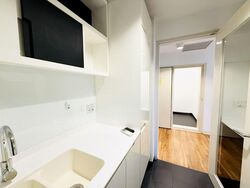 Village @ Pasir Panjang (D5), Condominium #575419281